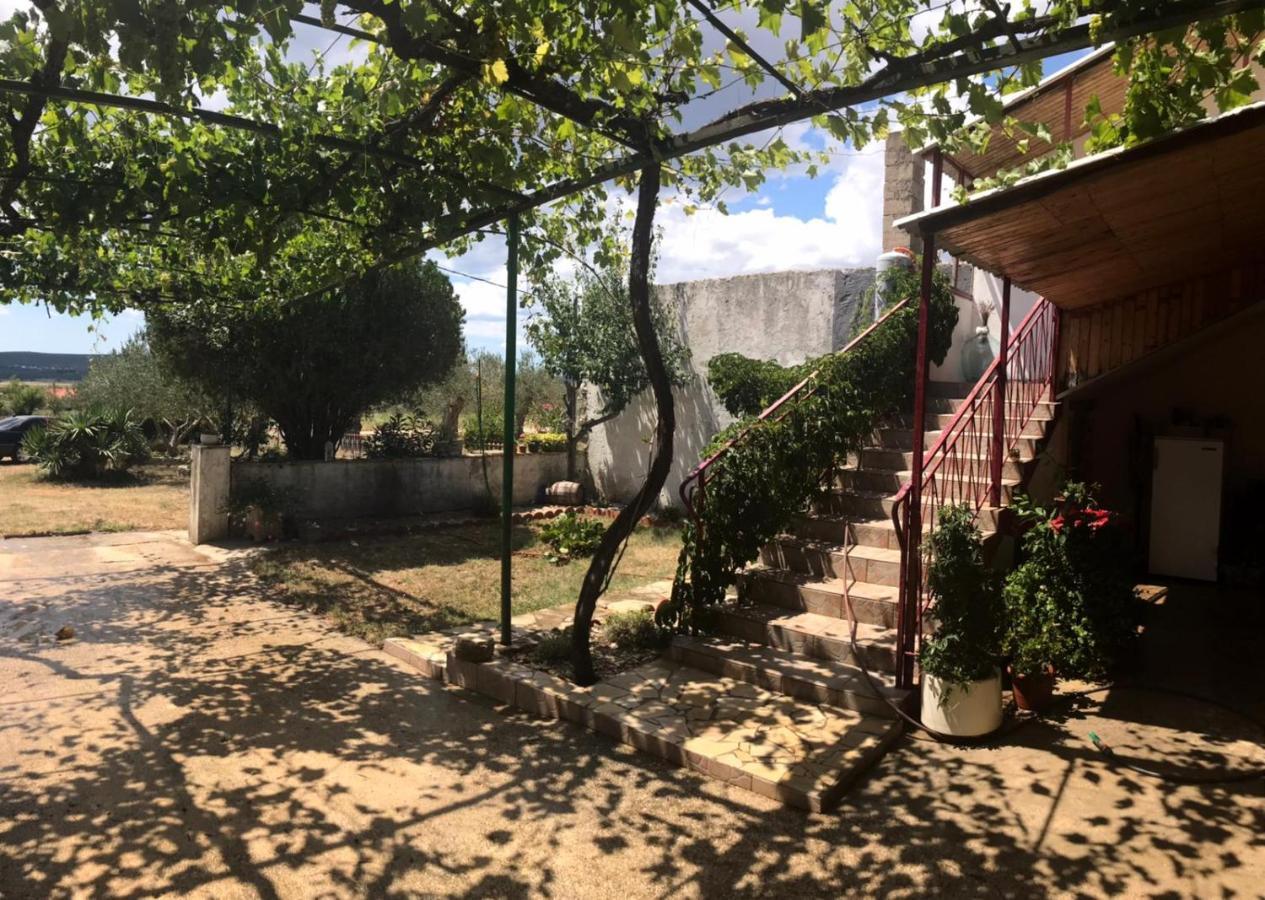 Elena Apartamento Benkovac Exterior foto